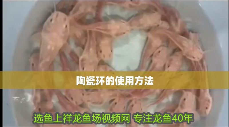 陶瓷環的使用方法