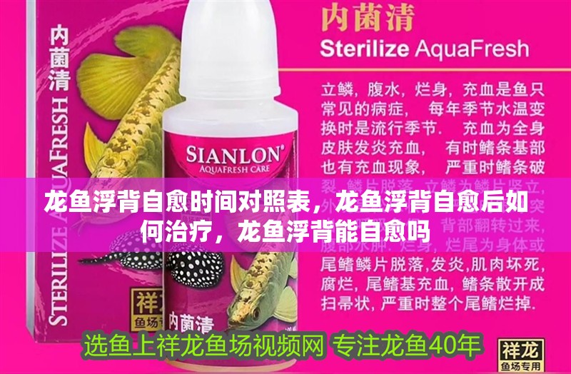 龍魚浮背自愈時(shí)間對(duì)照表，龍魚浮背自愈后如何治療，龍魚浮背能自愈嗎