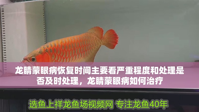 龍睛蒙眼病恢復時間主要看嚴重程度和處理是否及時處理，龍睛蒙眼病如何治療