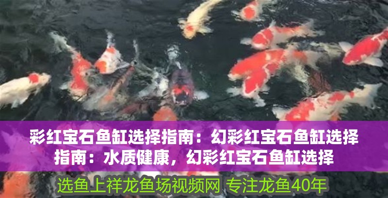 彩紅寶石魚缸選擇指南：幻彩紅寶石魚缸選擇指南：水質(zhì)健康，幻彩紅寶石魚缸選擇