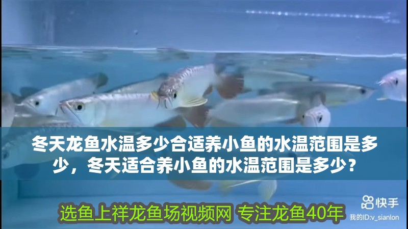 冬天龍魚水溫多少合適養小魚的水溫范圍是多少，冬天適合養小魚的水溫范圍是多少？