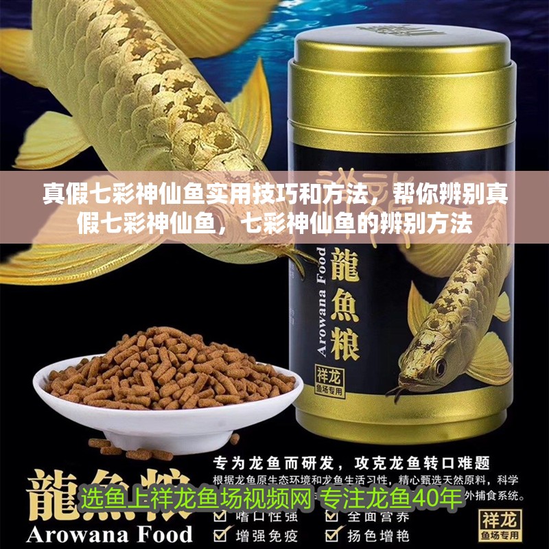 真假七彩神仙魚實用技巧和方法，幫你辨別真假七彩神仙魚，七彩神仙魚的辨別方法