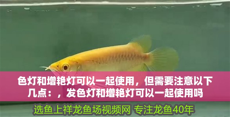 色燈和增艷燈可以一起使用，但需要注意以下幾點：，發(fā)色燈和增艷燈可以一起使用嗎