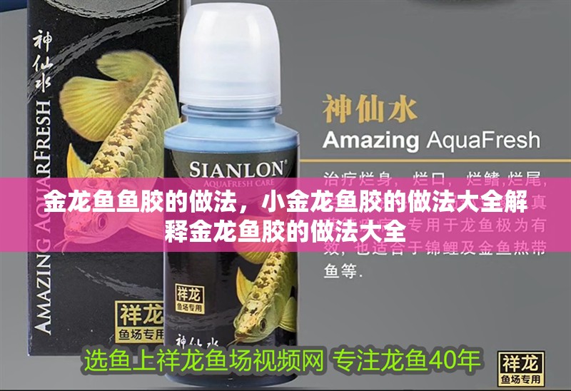 金龍魚魚膠的做法，小金龍魚膠的做法大全解釋金龍魚膠的做法大全