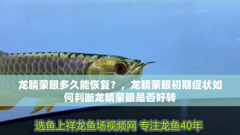 龍睛蒙眼多久能恢復？，龍睛蒙眼初期癥狀如何判斷龍睛蒙眼是否好轉