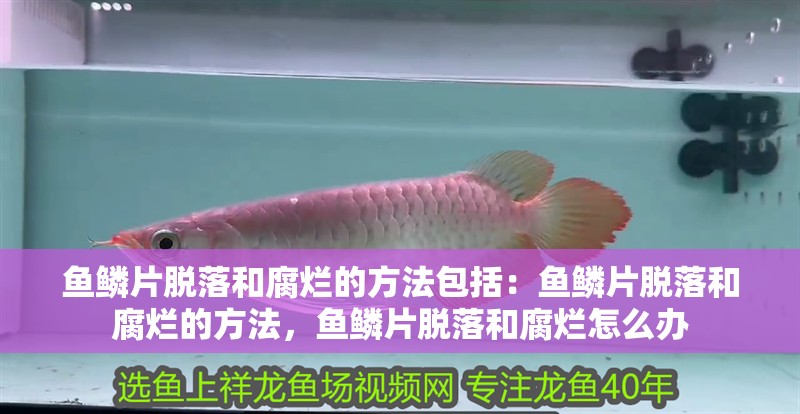 魚鱗片脫落和腐爛的方法包括：魚鱗片脫落和腐爛的方法，魚鱗片脫落和腐爛怎么辦