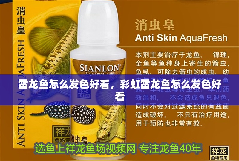 雷龍魚怎么發色好看，彩虹雷龍魚怎么發色好看
