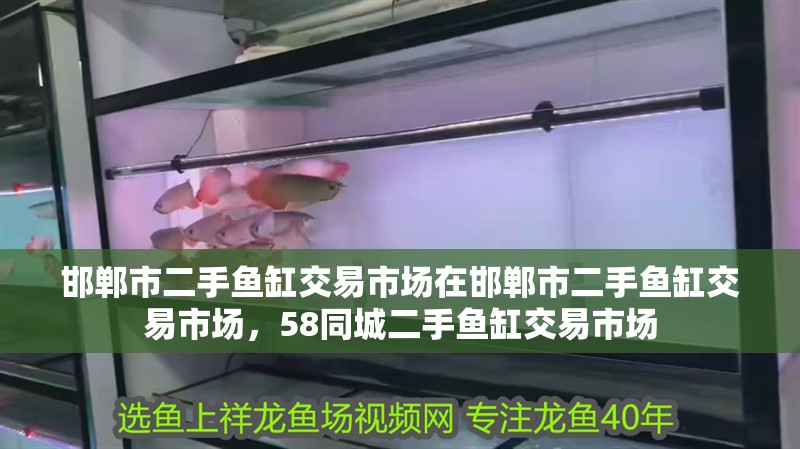邯鄲市二手魚缸交易市場在邯鄲市二手魚缸交易市場，58同城二手魚缸交易市場