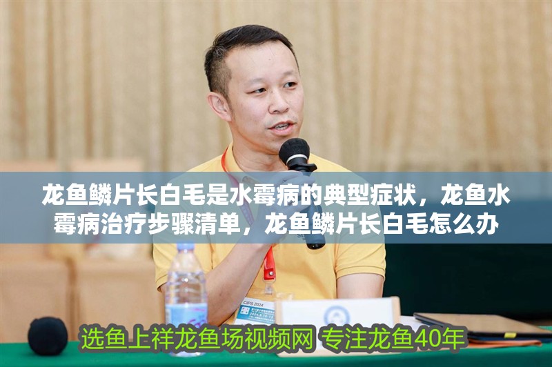 龍魚鱗片長白毛是水霉病的典型癥狀，龍魚水霉病治療步驟清單，龍魚鱗片長白毛怎么辦