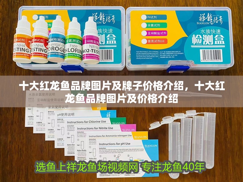 十大紅龍魚品牌圖片及牌子價格介紹，十大紅龍魚品牌圖片及價格介紹