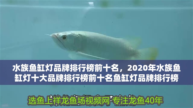 水族魚缸燈品牌排行榜前十名，2020年水族魚缸燈十大品牌排行榜前十名魚缸燈品牌排行榜