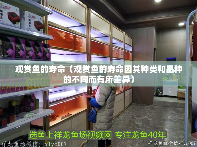 觀賞魚的壽命（觀賞魚的壽命因其種類和品種的不同而有所差異）