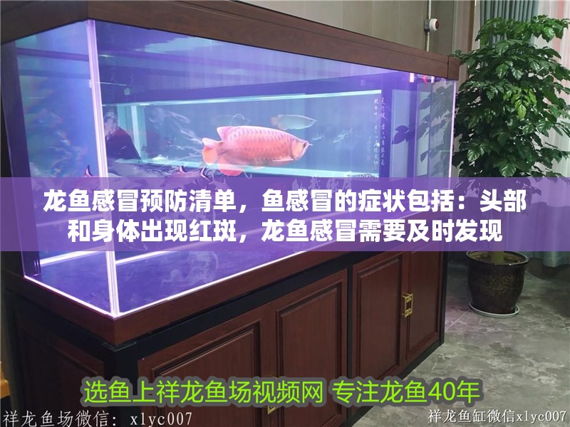 龍魚感冒預防清單，魚感冒的癥狀包括：頭部和身體出現紅斑，龍魚感冒需要及時發現