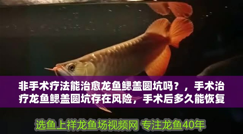 非手術療法能治愈龍魚鰓蓋圓坑嗎？，手術治療龍魚鰓蓋圓坑存在風險，手術后多久能恢復