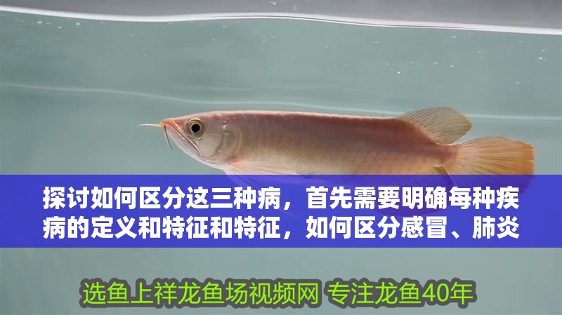 探討如何區分這三種病，首先需要明確每種疾病的定義和特征和特征，如何區分感冒、肺炎、肺炎、肺炎、肺炎？