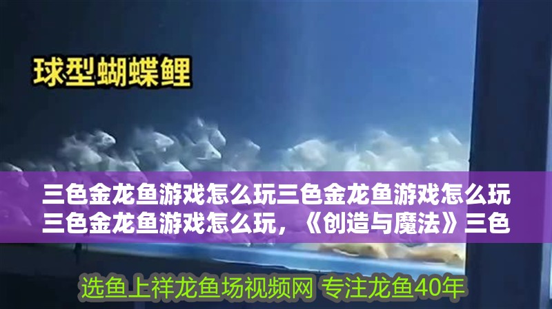 三色金龍魚(yú)游戲怎么玩三色金龍魚(yú)游戲怎么玩三色金龍魚(yú)游戲怎么玩，《創(chuàng)造與魔法》三色金龍魚(yú)游戲怎么玩