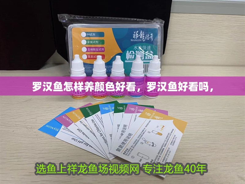 羅漢魚怎樣養顏色好看，羅漢魚好看嗎，