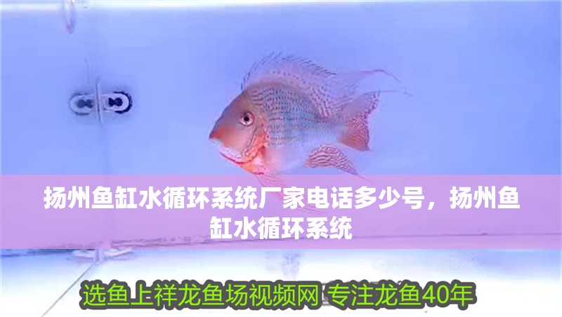 揚州魚缸水循環系統廠家電話多少號，揚州魚缸水循環系統