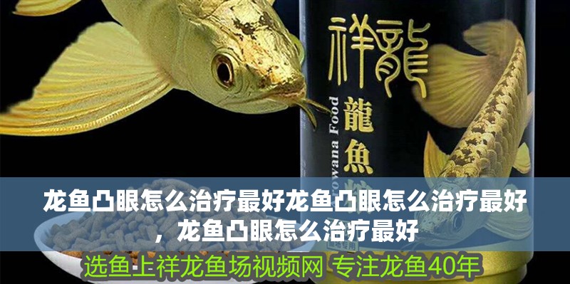 龍魚凸眼怎么治療最好龍魚凸眼怎么治療最好，龍魚凸眼怎么治療最好