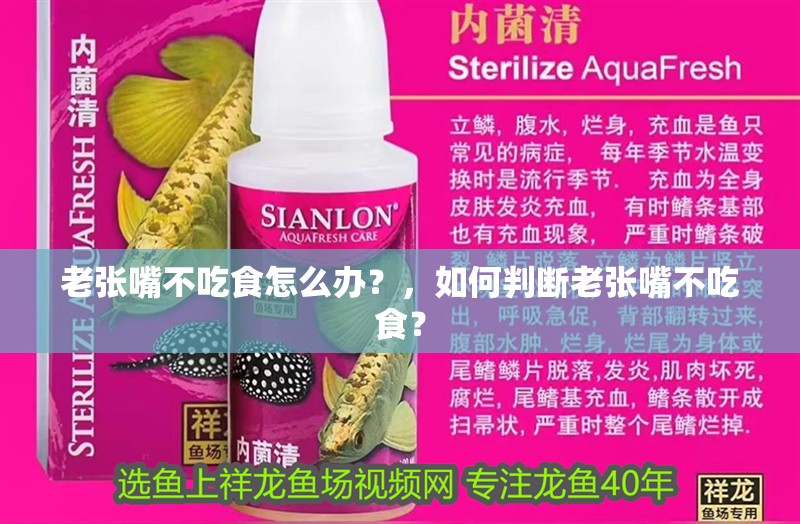 老張嘴不吃食怎么辦？，如何判斷老張嘴不吃食？