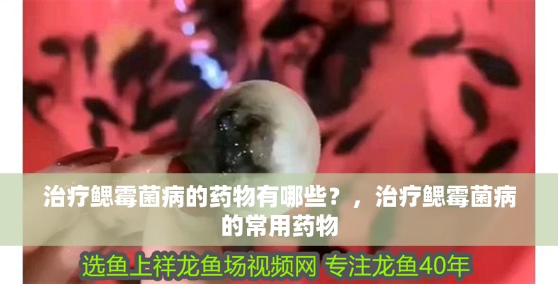 治療鰓霉菌病的藥物有哪些？，治療鰓霉菌病的常用藥物
