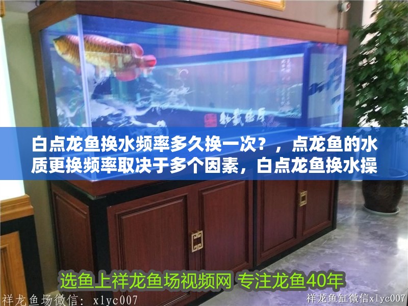 魚(yú)缸用增氧泵價(jià)格是多少:魚(yú)缸增氧機(jī)-xtrac增氧機(jī)-xtrac增氧機(jī) 白點(diǎn)龍魚(yú)換水頻率多久換一次?,點(diǎn)龍魚(yú)的水質(zhì)更換頻率取決于多個(gè)因素,白點(diǎn)龍魚(yú)換水操作清單 龍魚(yú)百科 白點(diǎn)龍魚(yú)換水頻率多久換一次?,點(diǎn)龍魚(yú)的水質(zhì)更換頻率取決于多個(gè)因素,白點(diǎn)龍魚(yú)換水操作清單 白點(diǎn)龍魚(yú)換水頻率多久換一次?,點(diǎn)龍魚(yú)的水質(zhì)更換頻率取決于多個(gè)因素,白點(diǎn)龍魚(yú)換水操作清單 龍魚(yú)百科