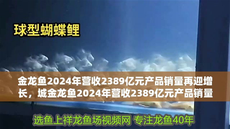 金龍魚2024年營收2389億元產品銷量再迎增長，城金龍魚2024年營收2389億元產品銷量再迎增長