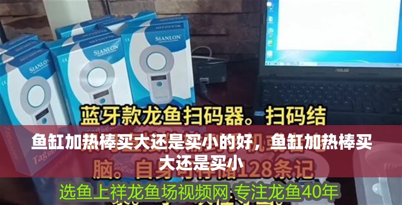 魚缸加熱棒買大還是買小的好，魚缸加熱棒買大還是買小