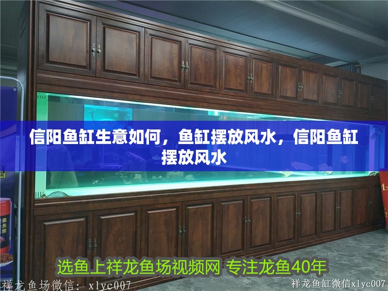 信陽(yáng)魚缸生意如何，魚缸擺放風(fēng)水，信陽(yáng)魚缸擺放風(fēng)水