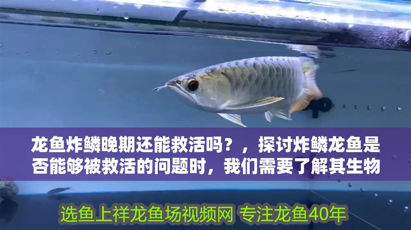龍魚炸鱗晚期還能救活嗎？，探討炸鱗龍魚是否能夠被救活的問題時，我們需要了解其生物學特性和可能的救治方法