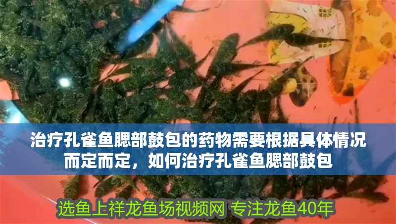 治療孔雀魚腮部鼓包的藥物需要根據具體情況而定而定，如何治療孔雀魚腮部鼓包