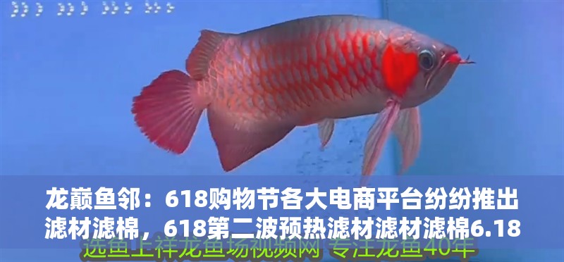 龍巔魚鄰：618購物節(jié)各大電商平臺紛紛推出濾材濾棉，618第二波預(yù)熱濾材濾材濾棉6.18感恩同行