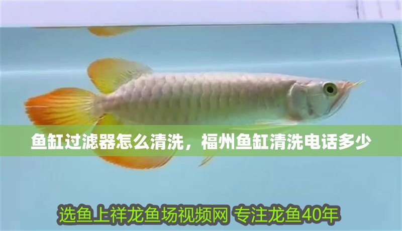 魚缸過濾器怎么清洗，福州魚缸清洗電話多少