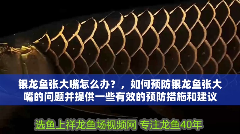 銀龍魚張大嘴怎么辦？，如何預防銀龍魚張大嘴的問題并提供一些有效的預防措施和建議