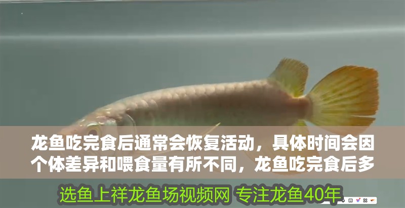 龍魚吃完食后通常會恢復(fù)活動，具體時間會因個體差異和喂食量有所不同，龍魚吃完食后多久會消化？
