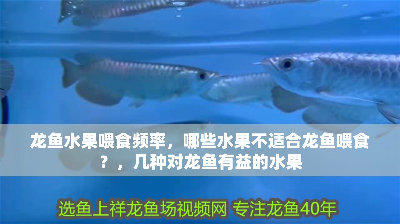 龍魚水果喂食頻率，哪些水果不適合龍魚喂食？，幾種對龍魚有益的水果