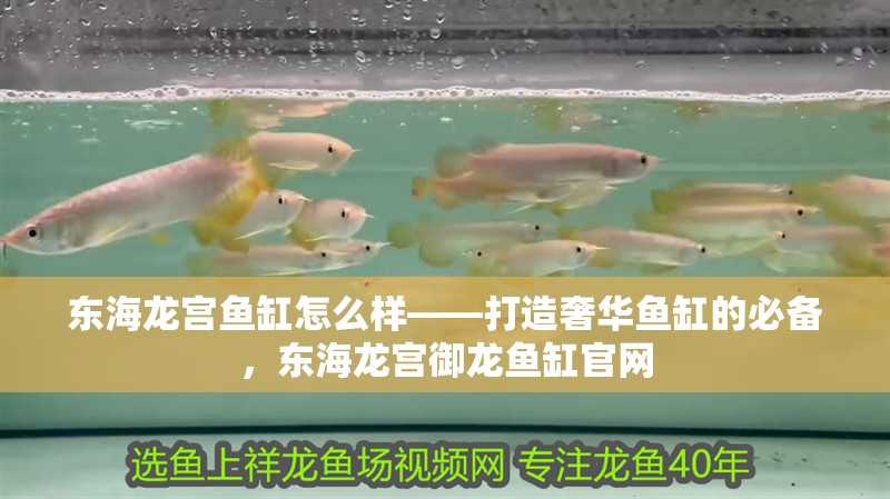 東海龍宮魚缸怎么樣——打造奢華魚缸的必備，東海龍宮御龍魚缸官網(wǎng)