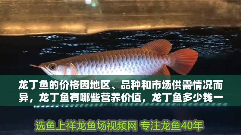 龍丁魚的價格因地區、品種和市場供需情況而異，龍丁魚有哪些營養價值，龍丁魚多少錢一公斤？