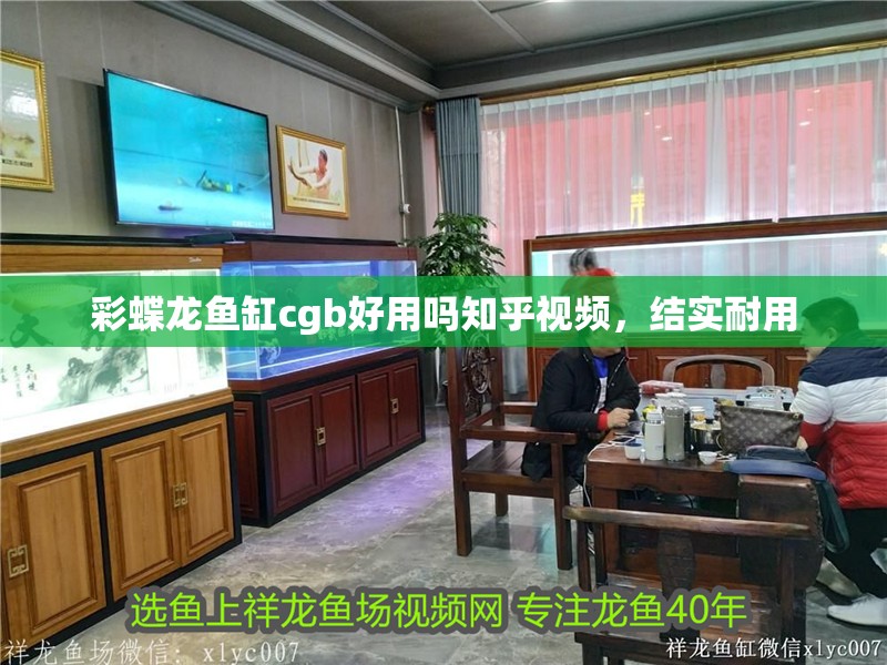 彩蝶龍魚缸cgb好用嗎知乎視頻，結(jié)實(shí)耐用