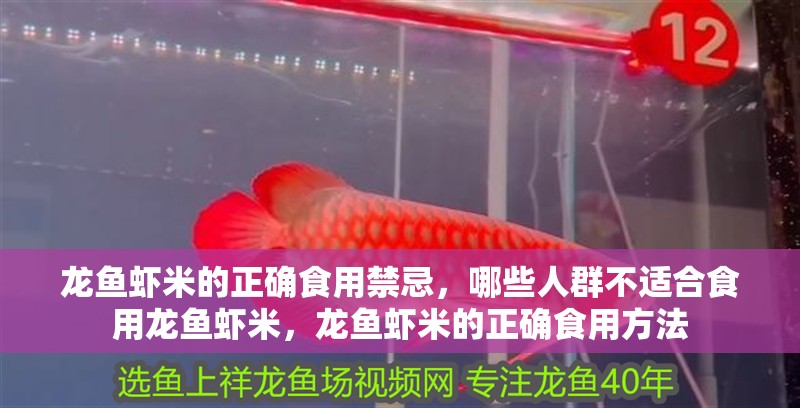 龍魚蝦米的正確食用禁忌，哪些人群不適合食用龍魚蝦米，龍魚蝦米的正確食用方法