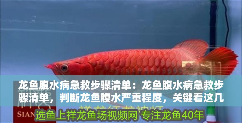 龍魚腹水病急救步驟清單：龍魚腹水病急救步驟清單，判斷龍魚腹水嚴重程度，關鍵看這幾點，龍魚腹水病急救步驟清單