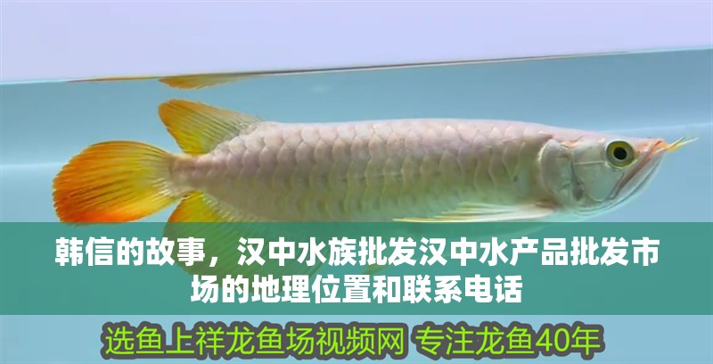 韓信的故事，漢中水族批發(fā)漢中水產品批發(fā)市場的地理位置和聯(lián)系電話