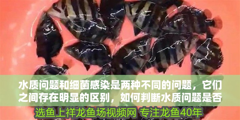 水質問題和細菌感染是兩種不同的問題，它們之間存在明顯的區別，如何判斷水質問題是否嚴重