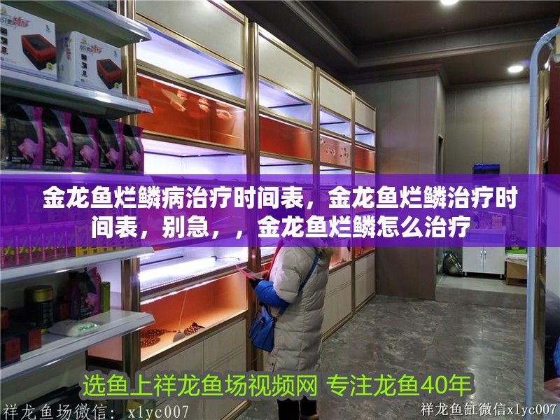 金龍魚爛鱗病治療時間表，金龍魚爛鱗治療時間表，別急，，金龍魚爛鱗怎么治療