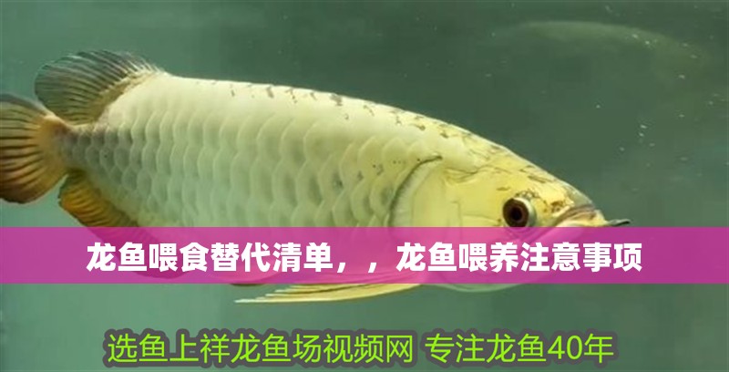 龍魚喂食替代清單，，龍魚喂養注意事項