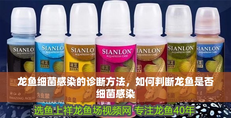 龍魚細(xì)菌感染的診斷方法，如何判斷龍魚是否細(xì)菌感染