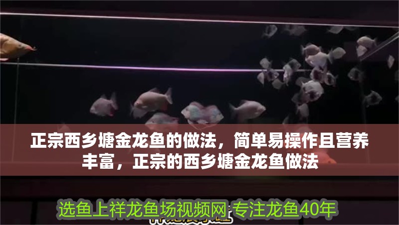 正宗西鄉塘金龍魚的做法，簡單易操作且營養豐富，正宗的西鄉塘金龍魚做法