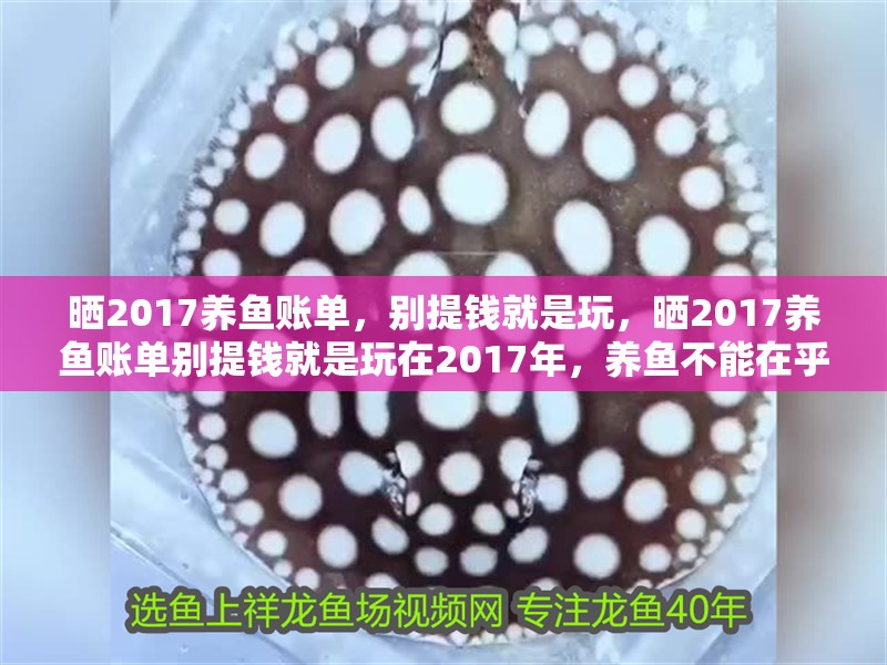 曬2017養(yǎng)魚賬單，別提錢就是玩，曬2017養(yǎng)魚賬單別提錢就是玩在2017年，養(yǎng)魚不能在乎錢