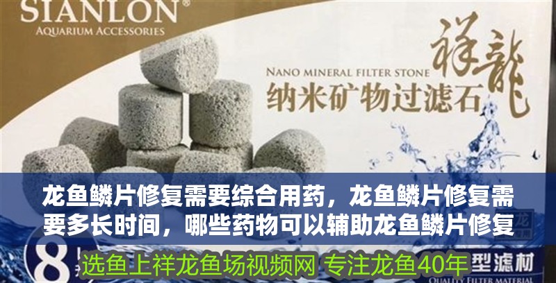 龍魚鱗片修復需要綜合用藥，龍魚鱗片修復需要多長時間，哪些藥物可以輔助龍魚鱗片修復