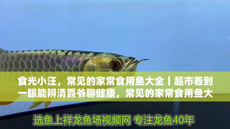 食光小汪，常見的家常食用魚大全丨超市看到一眼能辨清爵爺聊健康，常見的家常食用魚大全丨超市看到一眼能辨清爵爺聊健康 食光小汪，常見的家常食用魚大全丨超市看到一眼能辨清爵爺聊健康，常見的家常食用魚大全丨超市看到一眼能辨清爵爺聊健康 龍魚百科